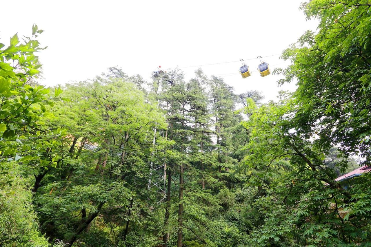 OYO 45337 Hotel Woodland Shimla Buitenkant foto